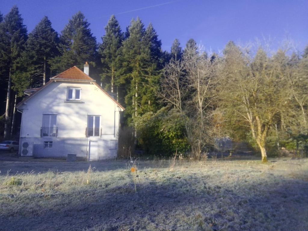 Vosges House 110 M2 In The Heart Of Nature L'Oree Du Bois Saint-Michel-sur-Meurthe 외부 사진