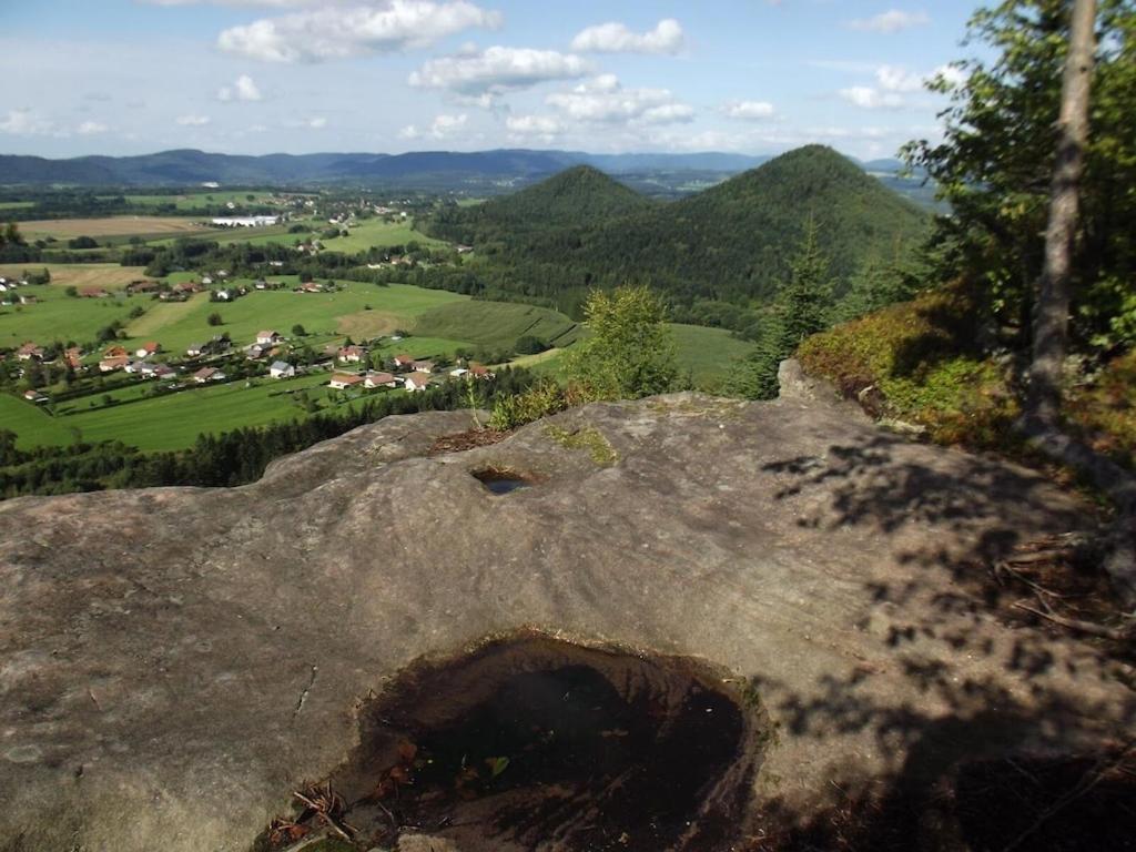 Vosges House 110 M2 In The Heart Of Nature L'Oree Du Bois Saint-Michel-sur-Meurthe 외부 사진