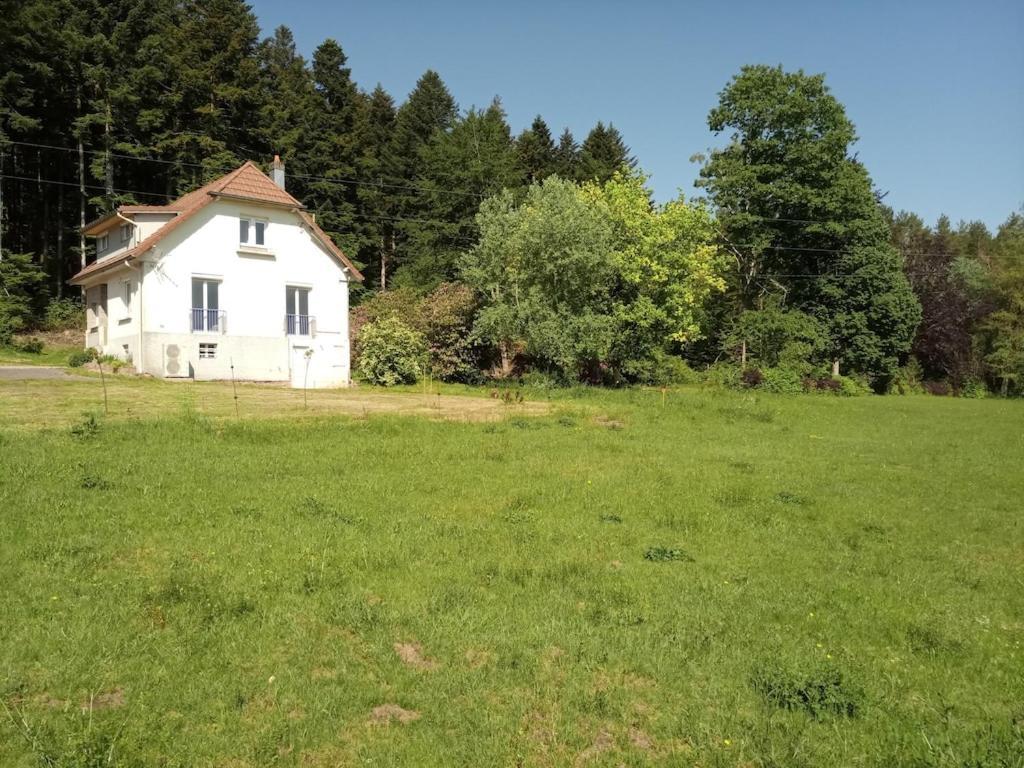 Vosges House 110 M2 In The Heart Of Nature L'Oree Du Bois Saint-Michel-sur-Meurthe 외부 사진
