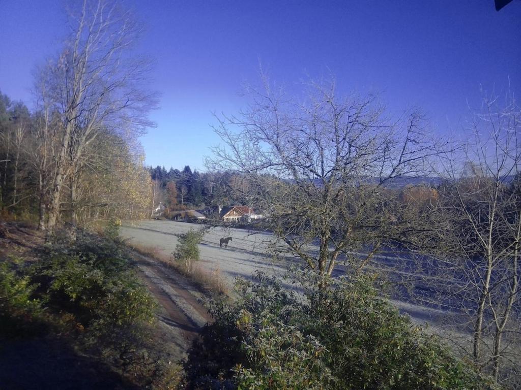 Vosges House 110 M2 In The Heart Of Nature L'Oree Du Bois Saint-Michel-sur-Meurthe 외부 사진