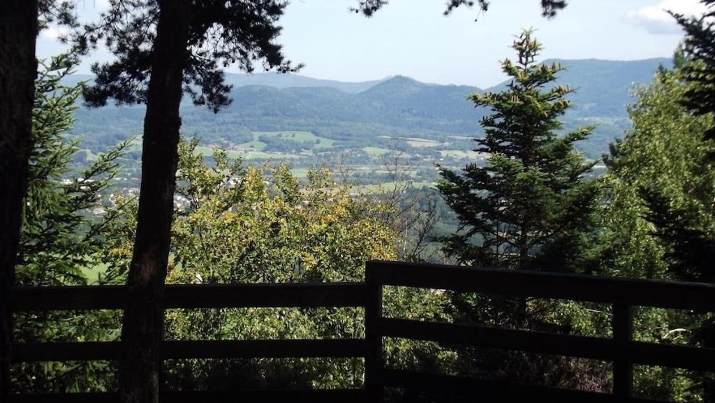 Vosges House 110 M2 In The Heart Of Nature L'Oree Du Bois Saint-Michel-sur-Meurthe 외부 사진