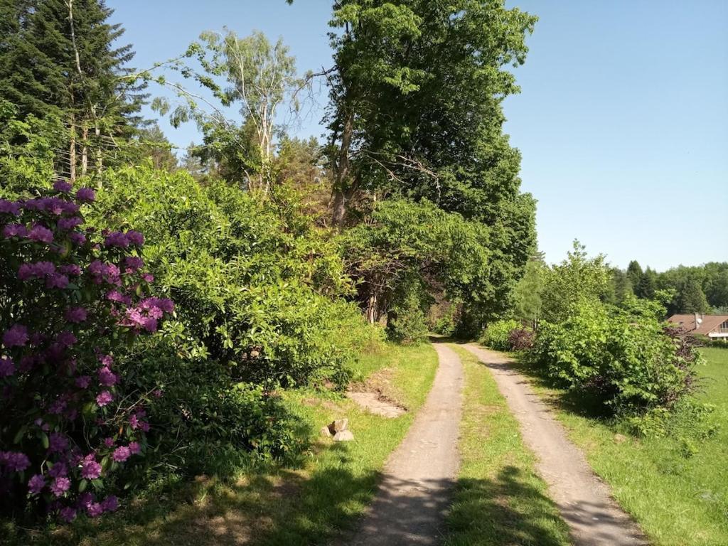 Vosges House 110 M2 In The Heart Of Nature L'Oree Du Bois Saint-Michel-sur-Meurthe 외부 사진