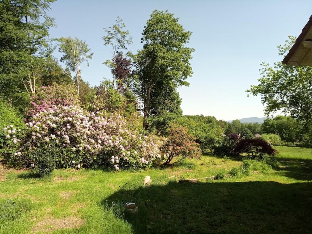 Vosges House 110 M2 In The Heart Of Nature L'Oree Du Bois Saint-Michel-sur-Meurthe 외부 사진